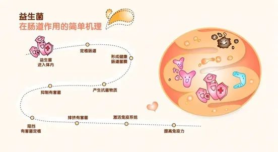 色翁荡息又大又硬又粗又爽