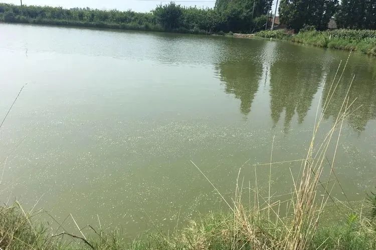 色翁荡息又大又硬又粗又爽