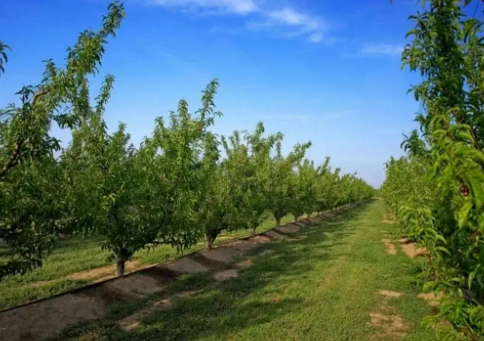 色翁荡息又大又硬又粗又爽