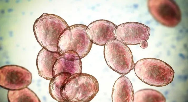 色翁荡息又大又硬又粗又爽