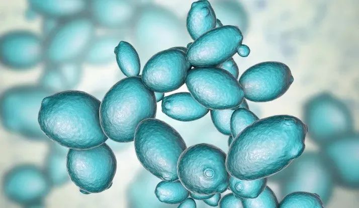 色翁荡息又大又硬又粗又爽