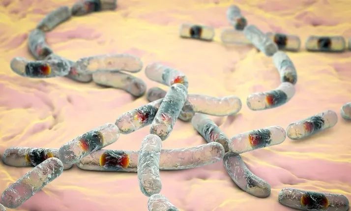 色翁荡息又大又硬又粗又爽