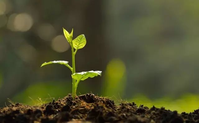 色翁荡息又大又硬又粗又爽