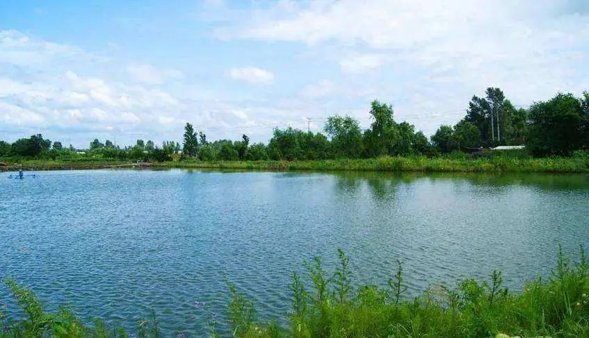 色翁荡息又大又硬又粗又爽