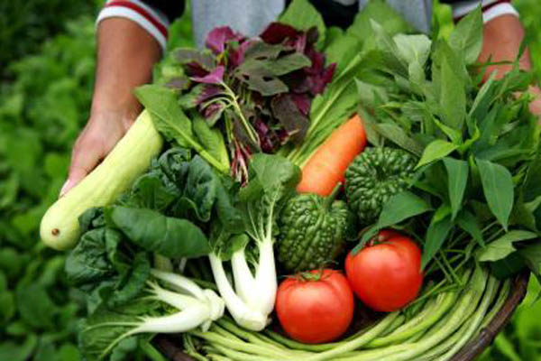 色翁荡息又大又硬又粗又爽