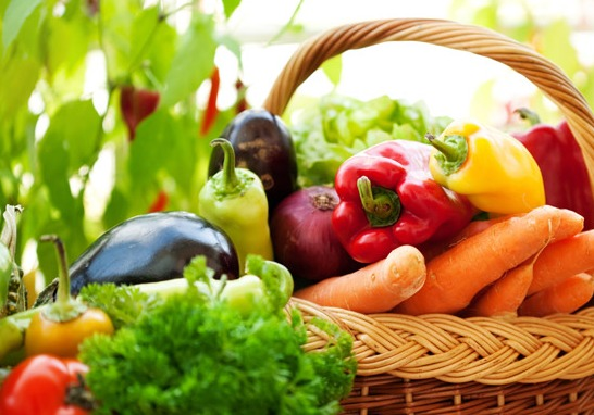 色翁荡息又大又硬又粗又爽