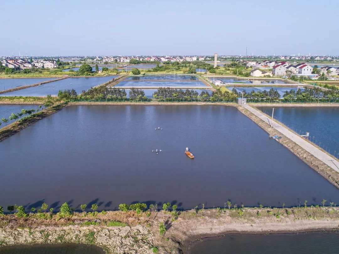 色翁荡息又大又硬又粗又爽