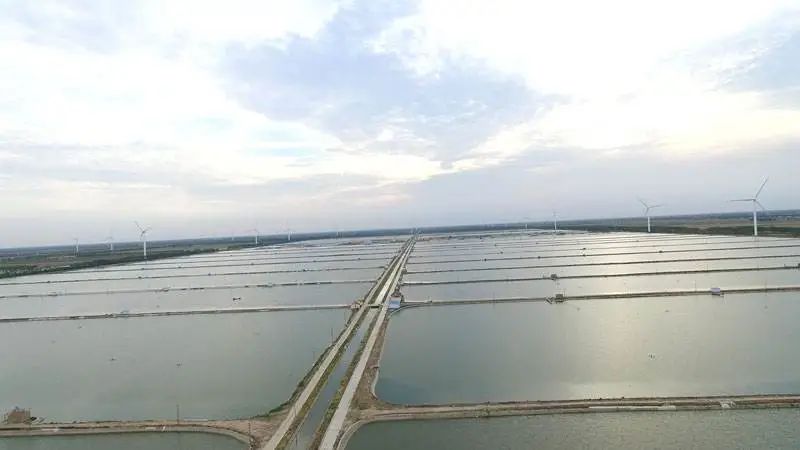 色翁荡息又大又硬又粗又爽