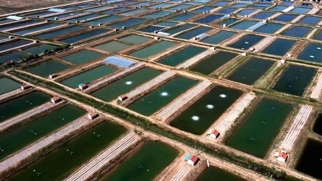 色翁荡息又大又硬又粗又爽