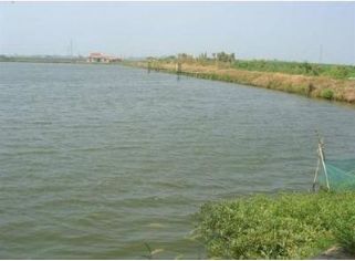 色翁荡息又大又硬又粗又爽