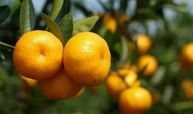 色翁荡息又大又硬又粗又爽