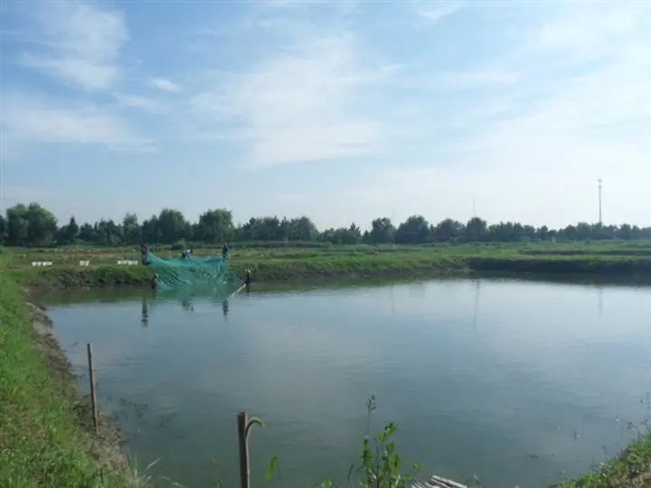 色翁荡息又大又硬又粗又爽