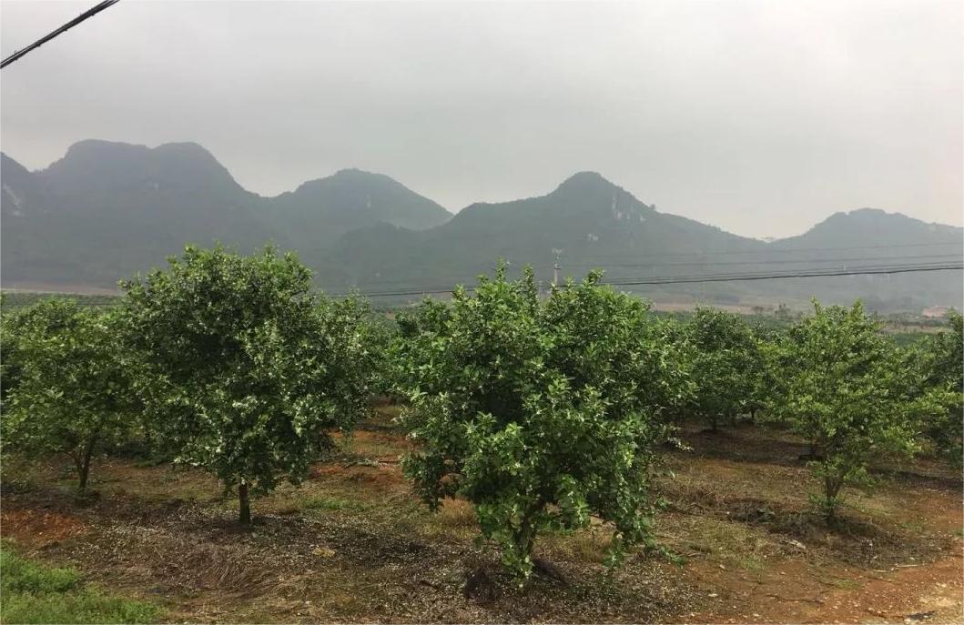 色翁荡息又大又硬又粗又爽