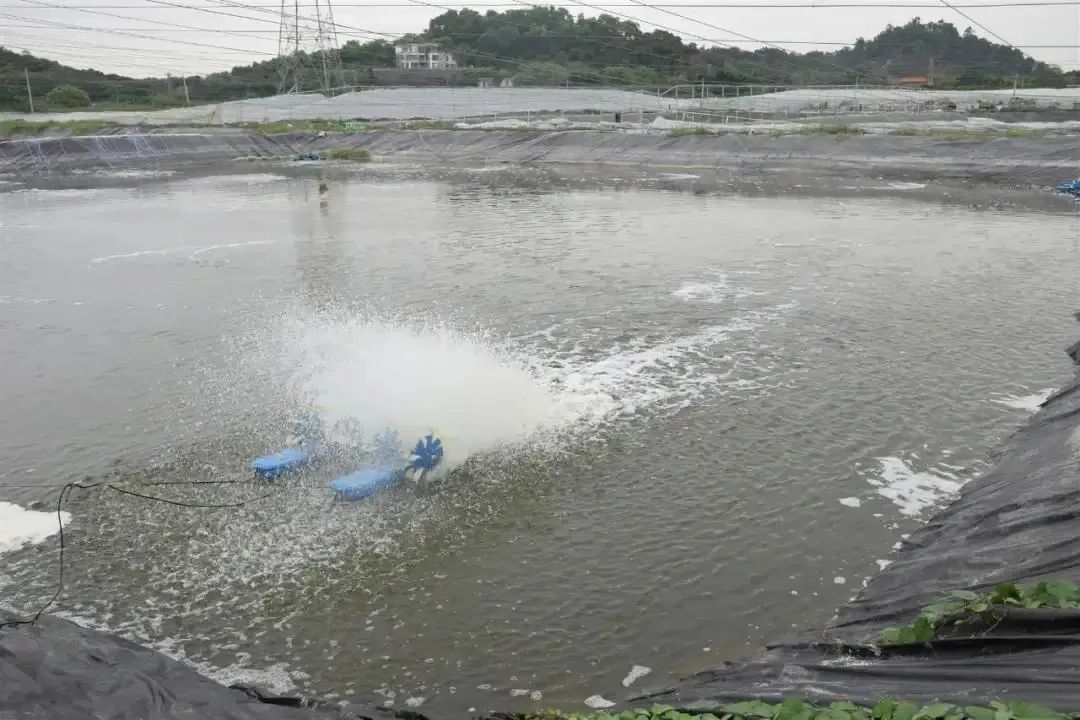 色翁荡息又大又硬又粗又爽