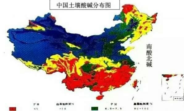 色翁荡息又大又硬又粗又爽