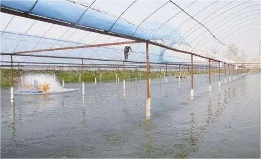 色翁荡息又大又硬又粗又爽