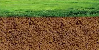 色翁荡息又大又硬又粗又爽