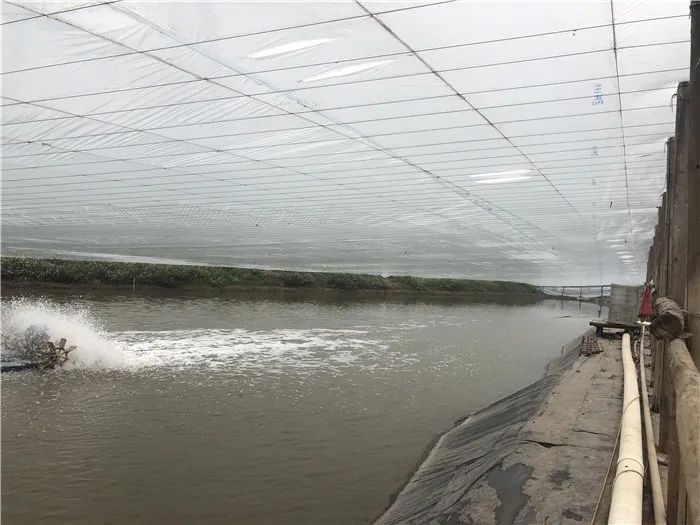 色翁荡息又大又硬又粗又爽