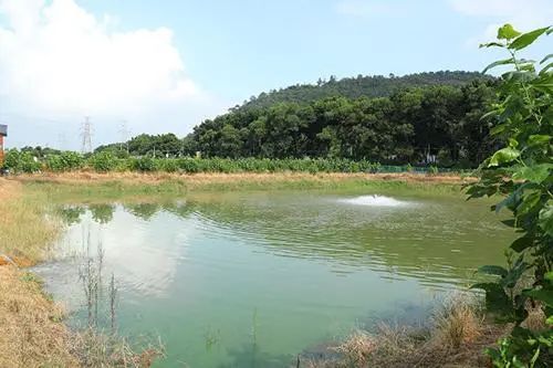 色翁荡息又大又硬又粗又爽