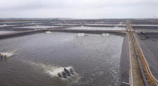 色翁荡息又大又硬又粗又爽