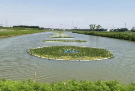 色翁荡息又大又硬又粗又爽