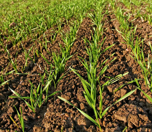 色翁荡息又大又硬又粗又爽