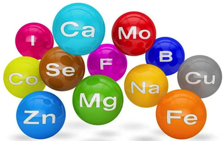 色翁荡息又大又硬又粗又爽
