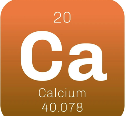 色翁荡息又大又硬又粗又爽