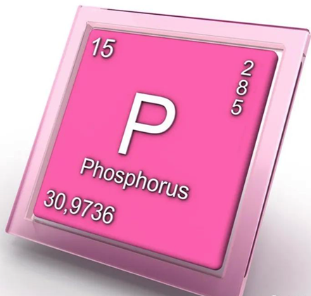 色翁荡息又大又硬又粗又爽