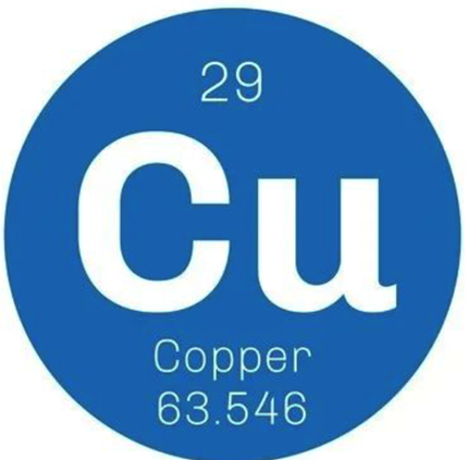 色翁荡息又大又硬又粗又爽