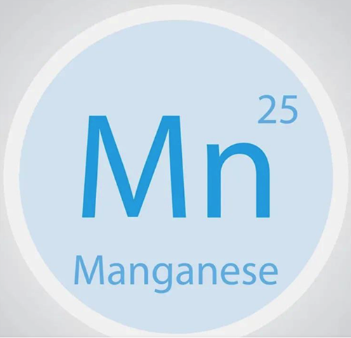 色翁荡息又大又硬又粗又爽