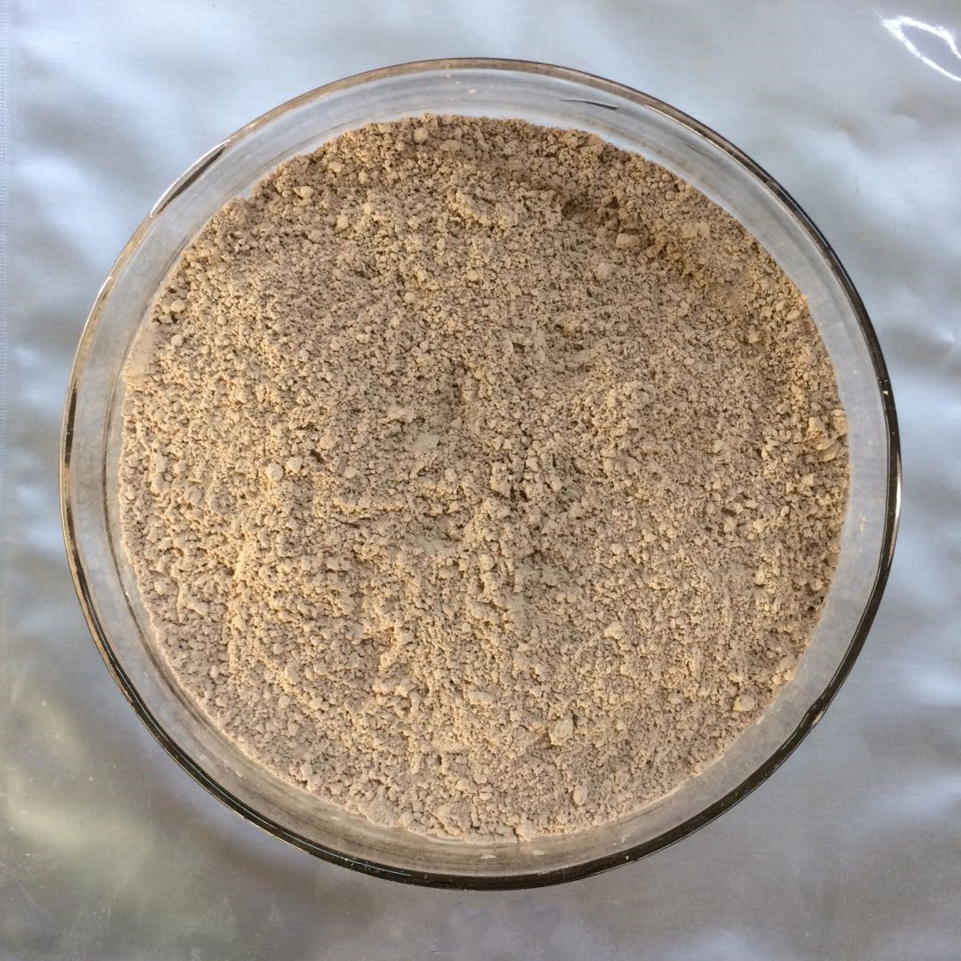 色翁荡息又大又硬又粗又爽