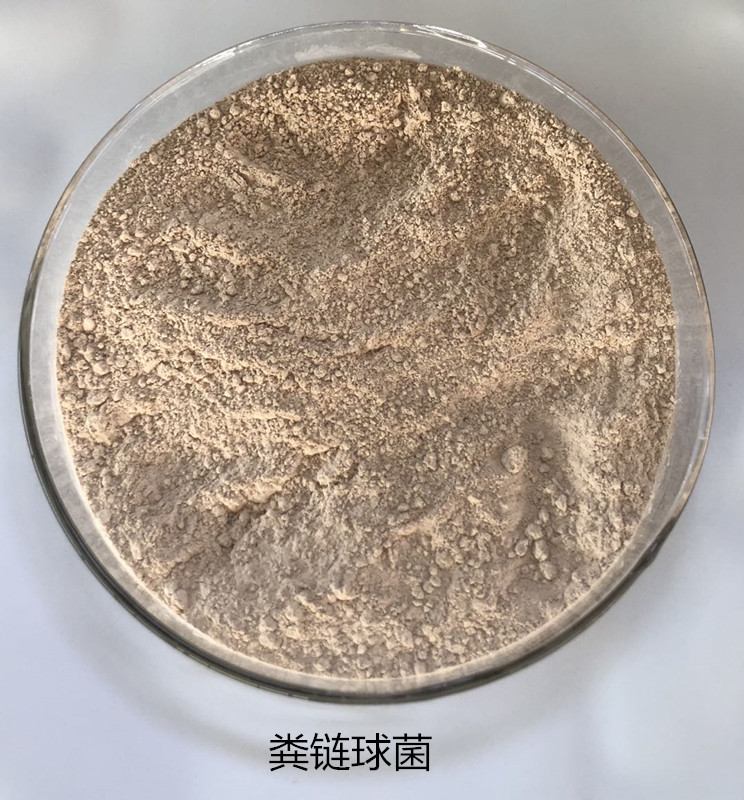 色翁荡息又大又硬又粗又爽