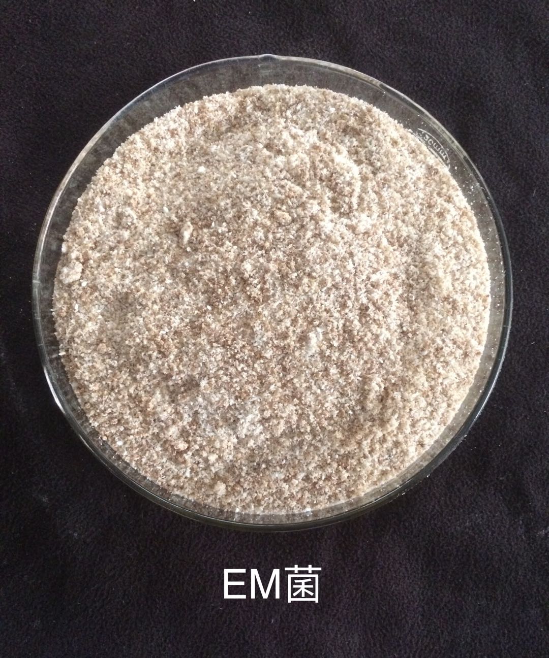 色翁荡息又大又硬又粗又爽