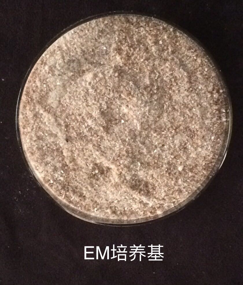 色翁荡息又大又硬又粗又爽