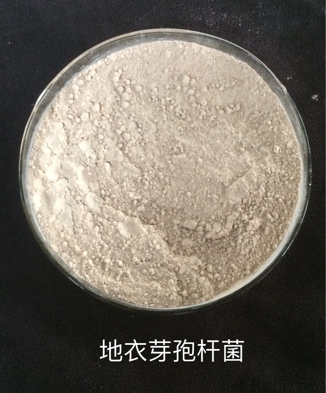 色翁荡息又大又硬又粗又爽