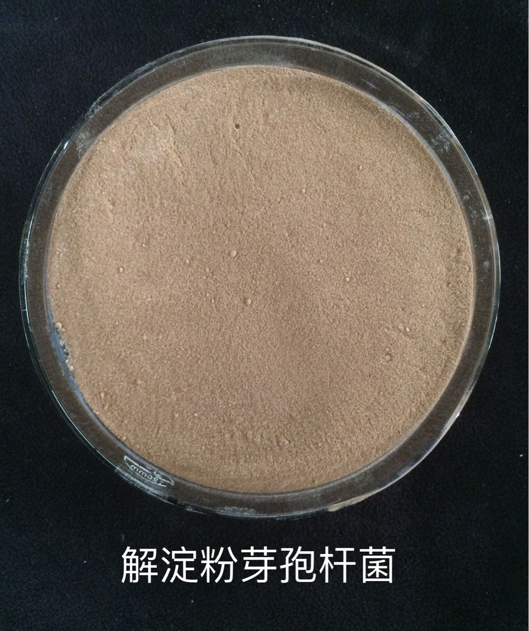 色翁荡息又大又硬又粗又爽