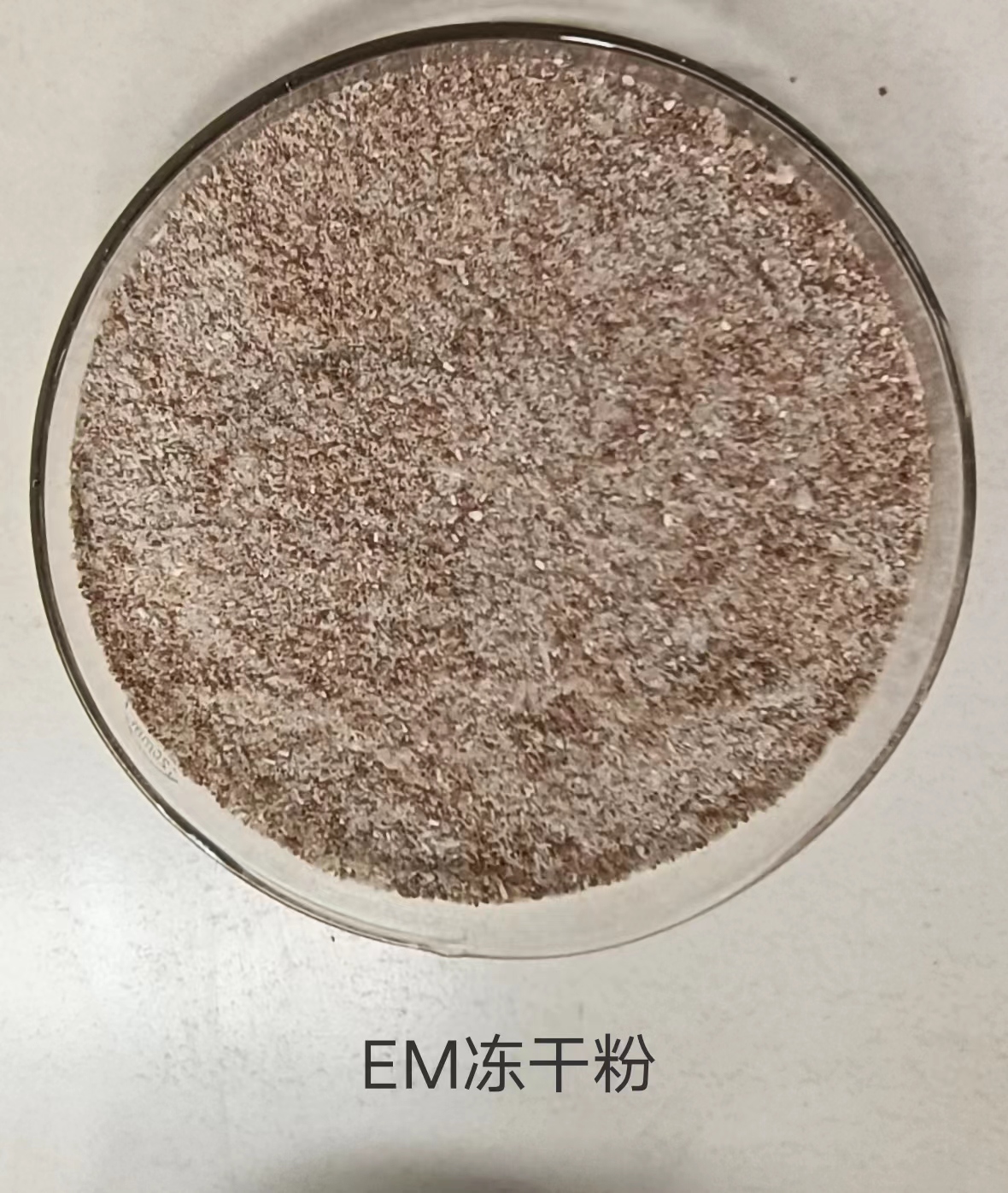 色翁荡息又大又硬又粗又爽