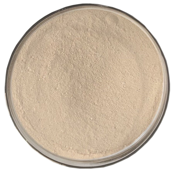 色翁荡息又大又硬又粗又爽