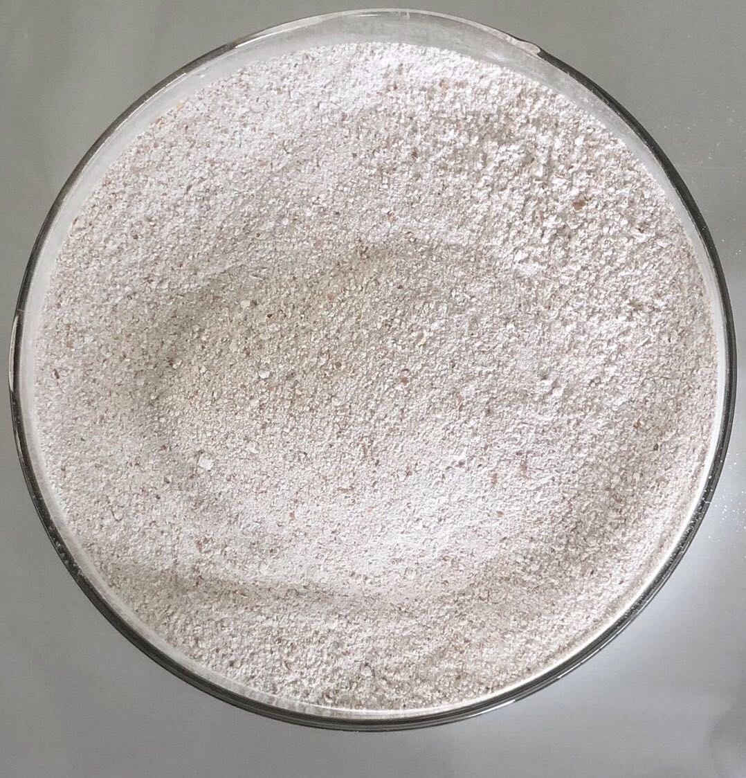 色翁荡息又大又硬又粗又爽