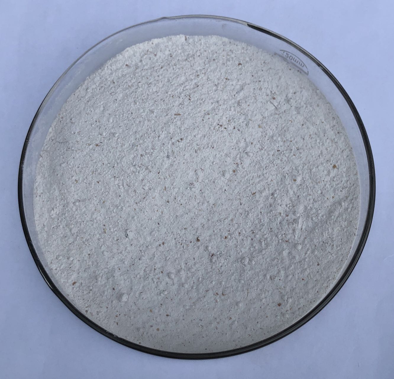 色翁荡息又大又硬又粗又爽