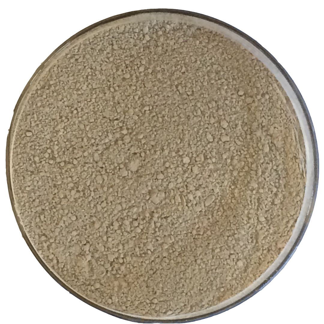 色翁荡息又大又硬又粗又爽