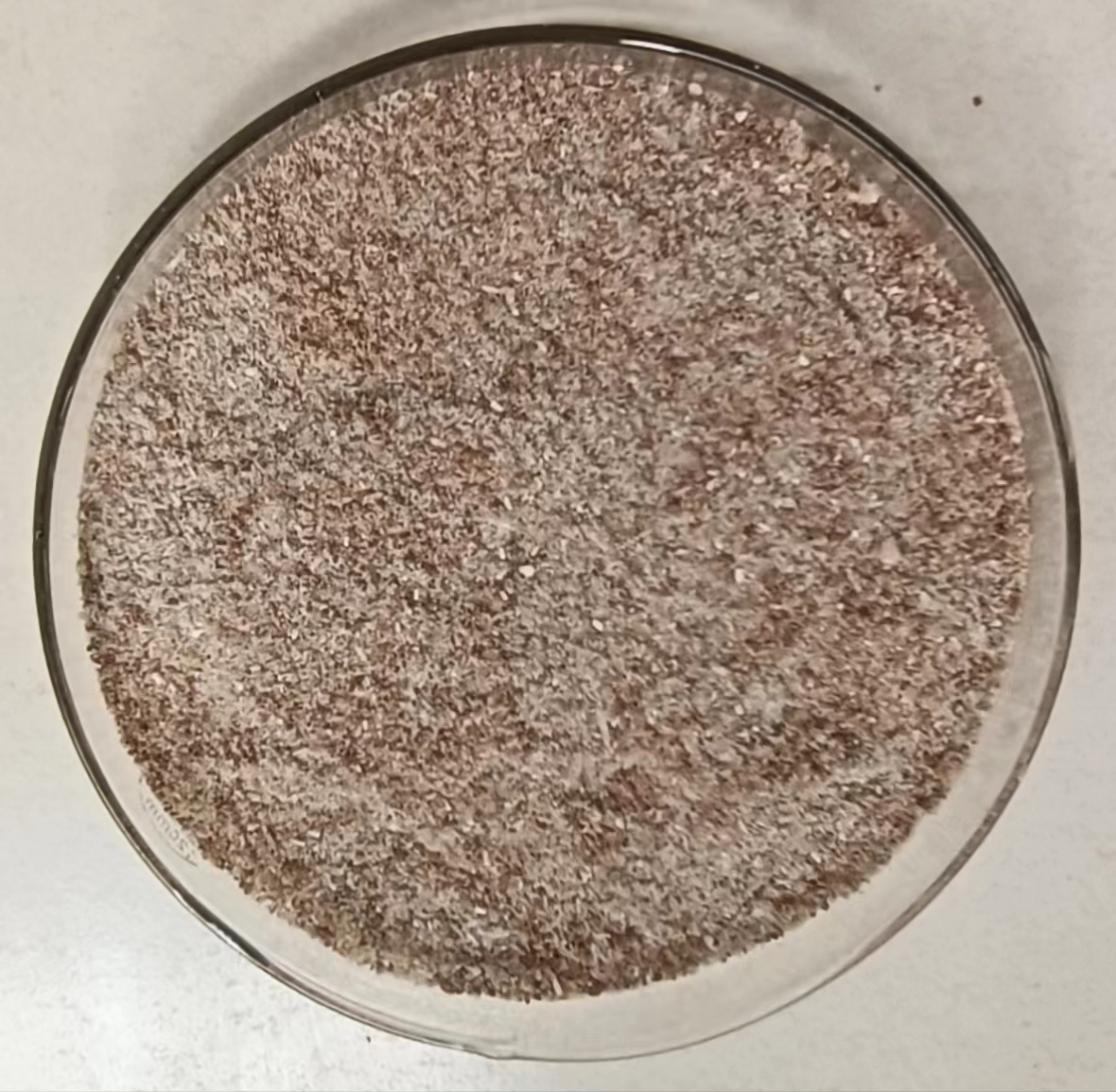 色翁荡息又大又硬又粗又爽