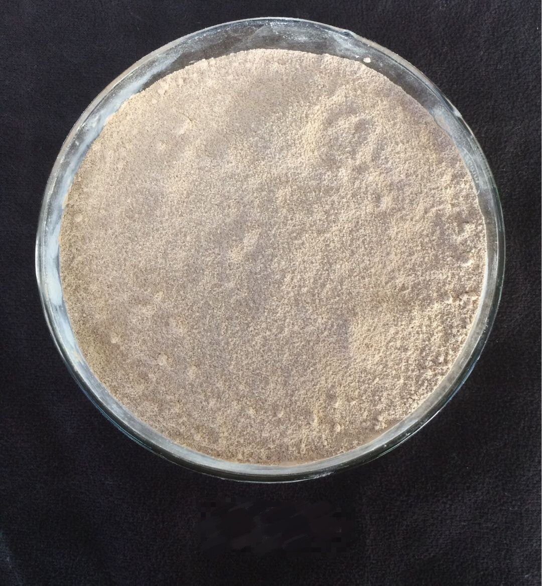 色翁荡息又大又硬又粗又爽