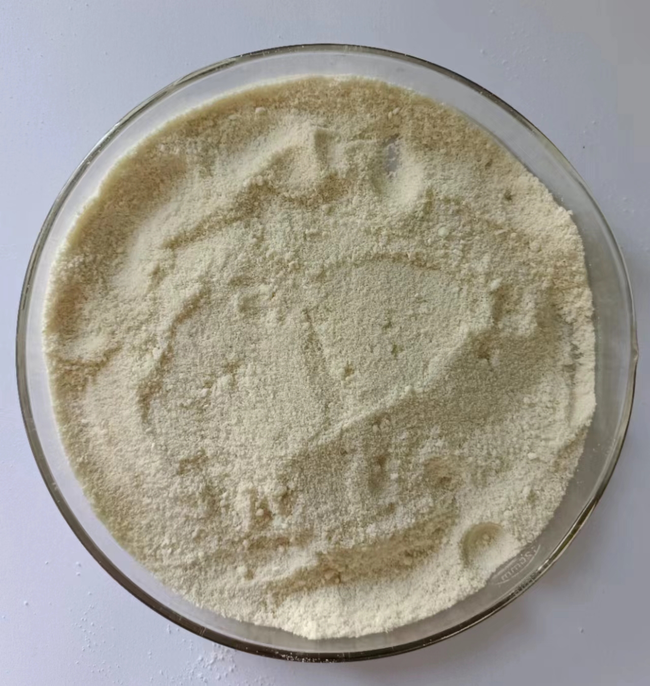 色翁荡息又大又硬又粗又爽