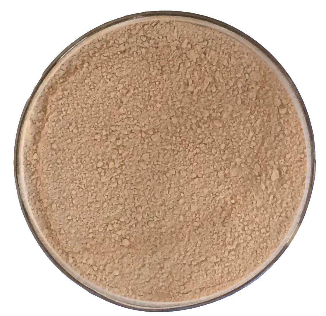 色翁荡息又大又硬又粗又爽